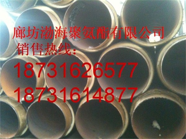 供应渤海发泡设备 聚氨酯直埋管