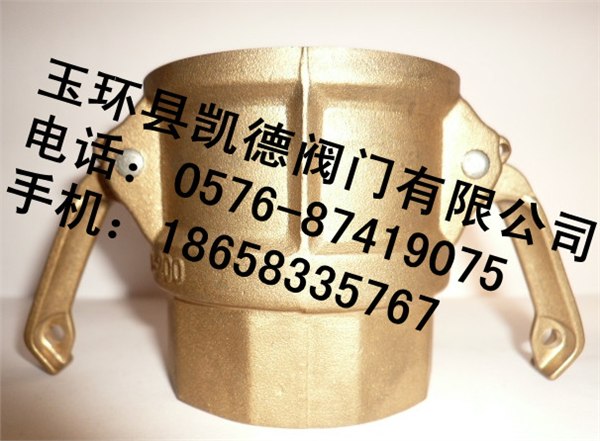 供应快速接头黄铜D型  内牙阴端黄铜快速接头  黄铜母快速接头
