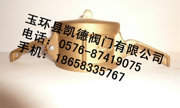 供应DC防尘盖快速接头  防尘罩快速接头  黄铜防尘帽快速接头  