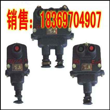 供应经济实用隔爆型控制按钮，性能卓越防爆按钮开关