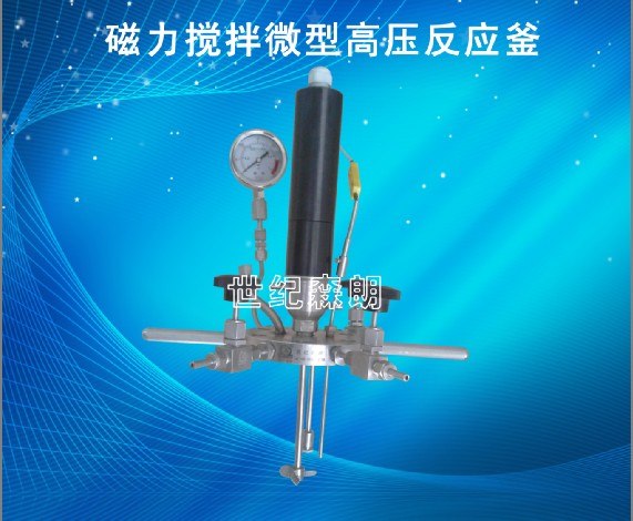 供应100ml磁力搅拌高压反应釜