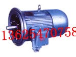 国龙电机   DSB30电机  YBS40-4电机