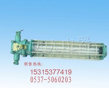 供应出类拔萃矿用隔爆型荧光灯DGS36/127Y(A）