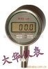 供应DH-数字压力表
