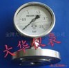 供应DH系列全不锈钢隔膜压力表