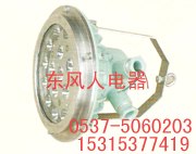 供应质量第一矿用隔爆型LED投光灯DGS54/127L(A)