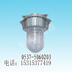 供应同时测量工厂用增安型防眩投光灯