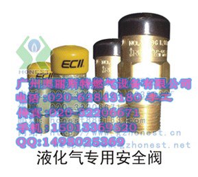 供应3129G安全阀 美国rego3135G超压泄压阀