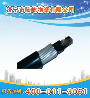 供应MHYA32粗钢丝铠装通信电缆
