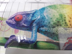 供应特种印刷、UV平板打印、UV平板喷画