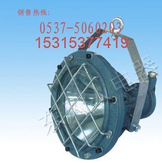 供应成本低矿用隔爆型投光灯DGS125/127N（C）