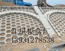 护坡模具 六角护坡模具 连锁护坡模具 连锁护坡模具