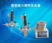 供应微型磁力搅拌反应釜