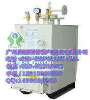 供应香港中邦ZPXEX-30kg/h防爆气化炉 