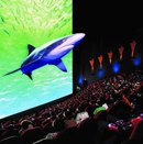 【现代电影院加盟】4D动感设备体验+4D流动影院供应