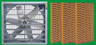 养殖场通风降温设备高品质全国最低价批发山东乐陵通达