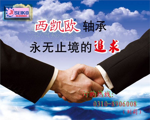 德国进口轴承HC71924-C-T-P4S-UL