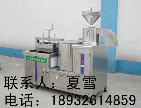 供应全自动豆腐机 彩色果蔬豆腐机 豆腐机厂家