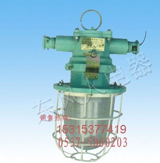 供应品牌首选防爆荧光灯DSG18/127Y(A)