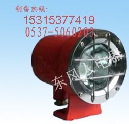 供应一站式购物矿用隔爆型机车灯DGS9/127L(A)