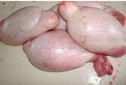 供应长期专业批发进口冷冻羊肉卷羊蝎子羊蛋