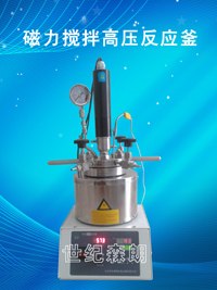 供应磁力搅拌高压反应器