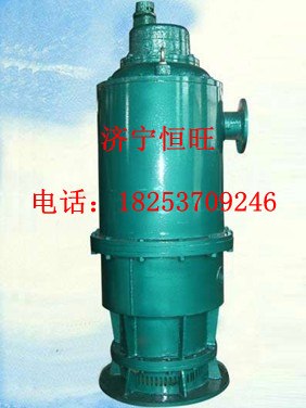 供应BQW排污泵BQS排沙泵BQW潜水泵电泵