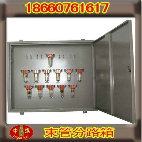 束管分缆箱 矿用束管分路箱 分路箱  矿用分路箱