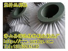 厂家供应塑料丝刷辊