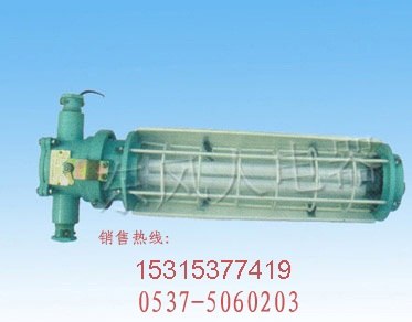 供应价格低隔爆型荧光灯DGS24/127Y(A)