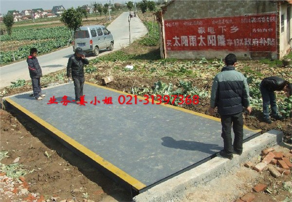 供应细节决定成败,电子汽车衡维修,10吨汽车衡