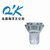 供应防眩应急泛光灯海洋王●NFE9180-J70●