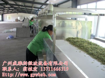 供应微波茶叶干燥杀青设备