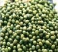 供应重庆批发黄豆绿豆红腰豆蚕豆