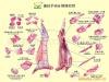 供应重庆冷冻食品批发羊内牛内猪内鸡内鸭