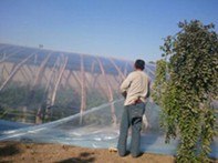 青州金牌农膜专业生产供应大棚用PO膜