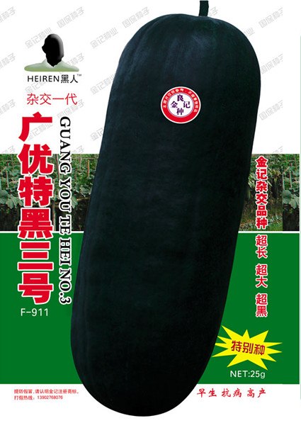 供应黑皮冬瓜种子