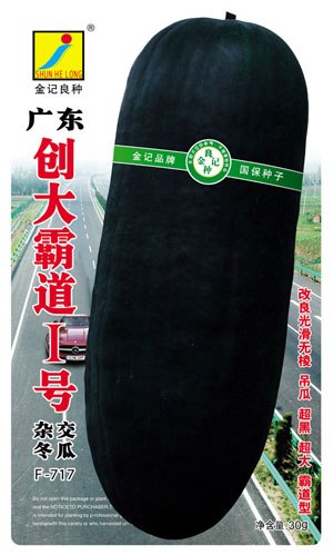 黑皮冬瓜种子