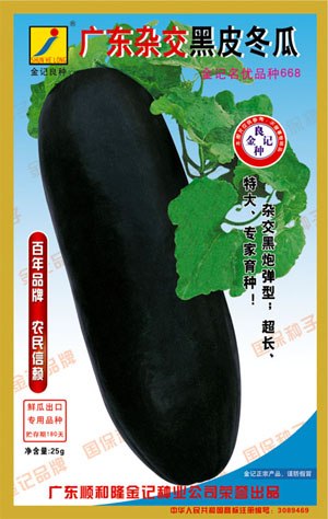 冬瓜种子:广东杂交黑皮冬瓜F-668