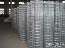供应镀锌电焊网|圈玉米电焊网|荷兰网专业生产厂家
