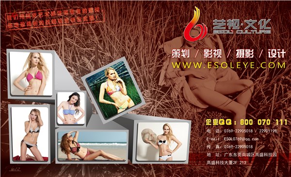 供应东莞品牌推广公司 东莞活动策划公司 东莞平面设计公司