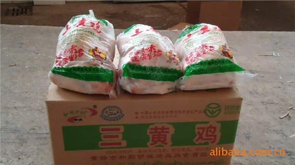 供应冷冻西装鸡整鸡三黄鸡童子鸡一级