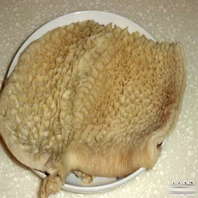 最新出售A级冷冻牛百叶牛板肉牛蹄牛心牛肚羊胎盘