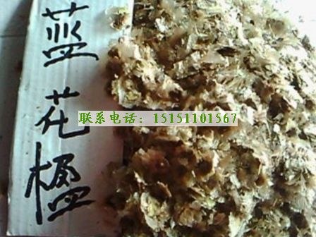 优质蓝花楹种子蓝花楹种子价格蓝花楹净种子批发