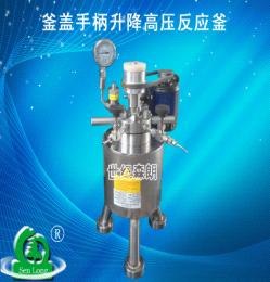 供应釜盖手柄升降高压反应器
