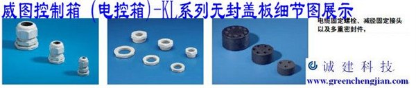 德国威图机柜的系统化灵活性-广州诚建威图售后维修中心