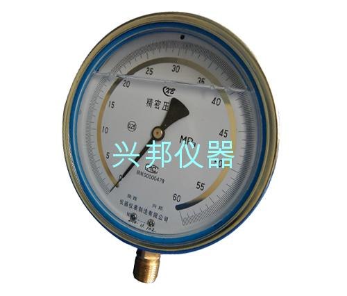 供应精密耐震压力表