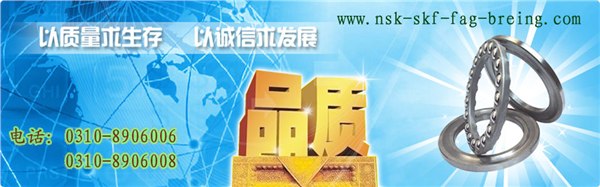 进口轴承|进口轴承价格|河北进口轴承