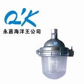 供应NFE9112☆防眩应急灯→NFE9112价格体系※