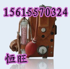 供应CJG10甲烷测定仪